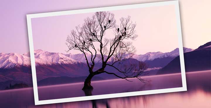 How to Straighten the Horizon in Photos using Photoshop