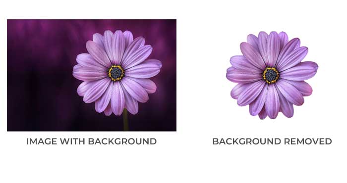 How to remove the Background of Photos in MS Word - Digitional